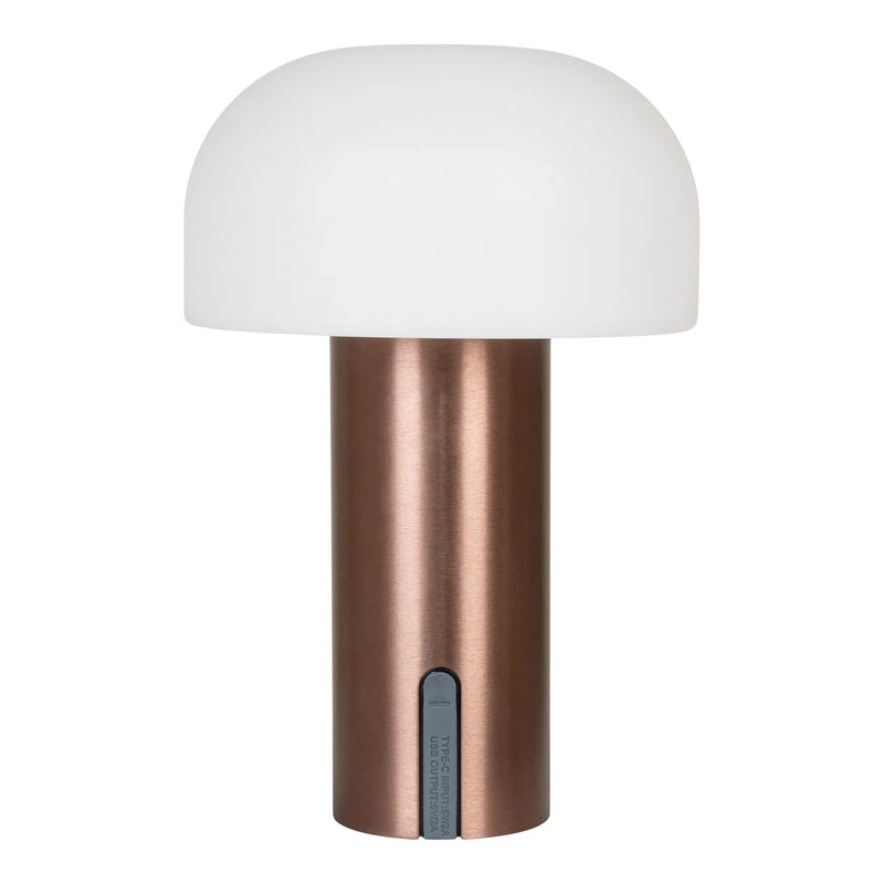 Portable LED Lamp