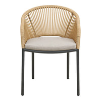 Novella Dining Chair: Sun-Kissed Minimalist Luxury | Set of 2
