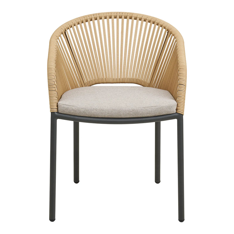 Novella Dining Chair: Sun-Kissed Minimalist Luxury | Set of 2