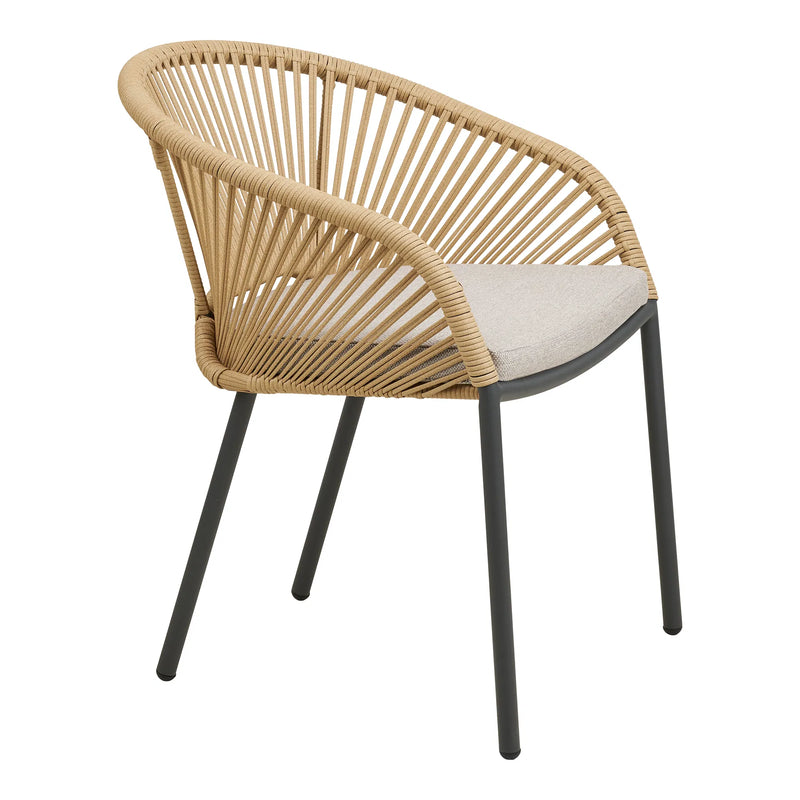 Novella Dining Chair: Sun-Kissed Minimalist Luxury | Set of 2